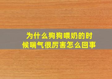 为什么狗狗喂奶的时候喘气很厉害怎么回事