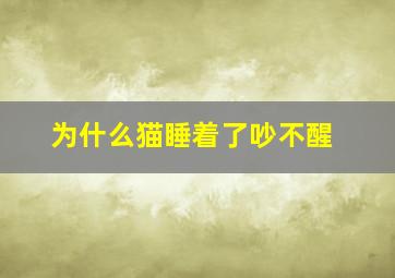 为什么猫睡着了吵不醒