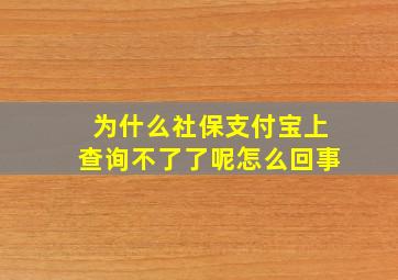 为什么社保支付宝上查询不了了呢怎么回事