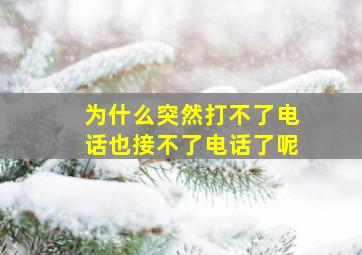 为什么突然打不了电话也接不了电话了呢