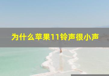 为什么苹果11铃声很小声