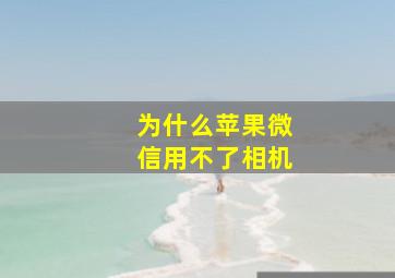 为什么苹果微信用不了相机