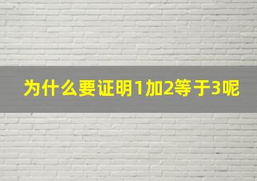 为什么要证明1加2等于3呢