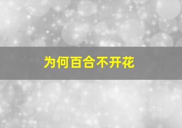 为何百合不开花