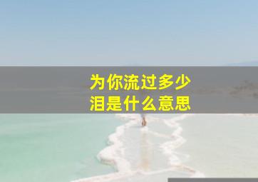 为你流过多少泪是什么意思