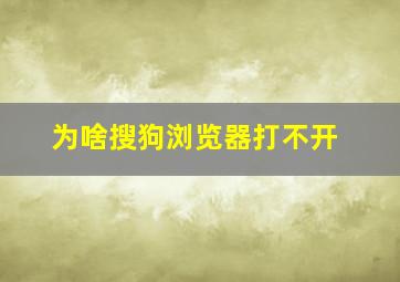 为啥搜狗浏览器打不开