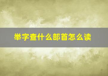 举字查什么部首怎么读