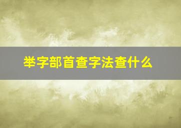 举字部首查字法查什么