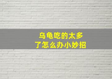 乌龟吃的太多了怎么办小妙招