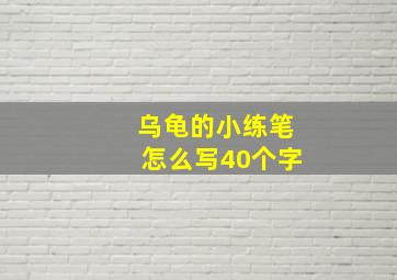 乌龟的小练笔怎么写40个字