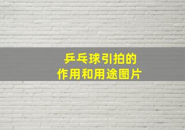 乒乓球引拍的作用和用途图片