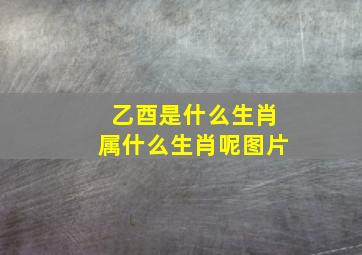 乙酉是什么生肖属什么生肖呢图片