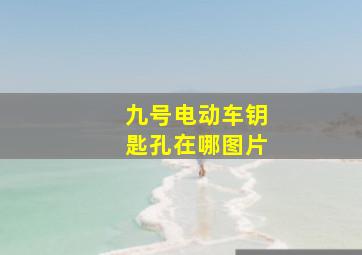 九号电动车钥匙孔在哪图片