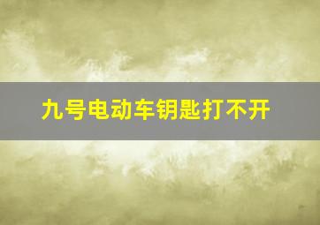 九号电动车钥匙打不开