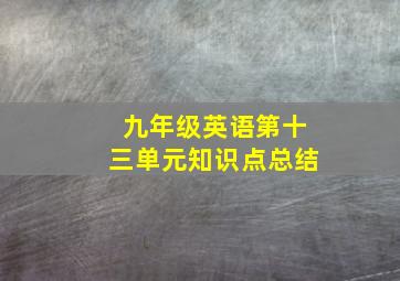 九年级英语第十三单元知识点总结