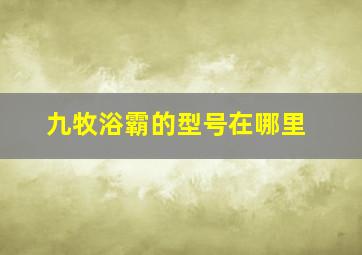 九牧浴霸的型号在哪里