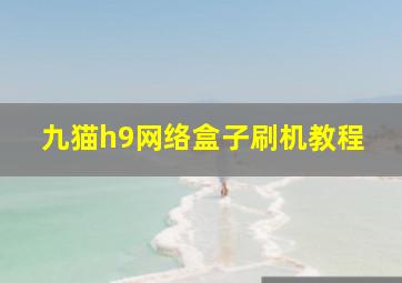 九猫h9网络盒子刷机教程