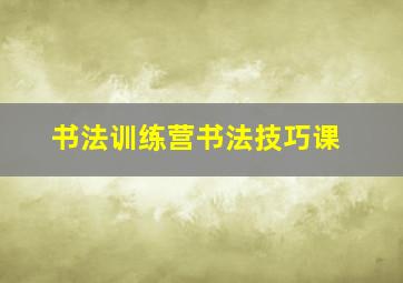 书法训练营书法技巧课