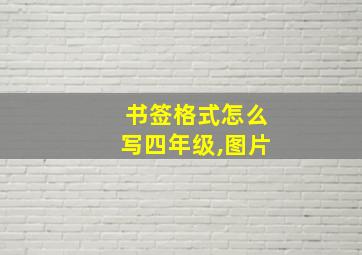 书签格式怎么写四年级,图片