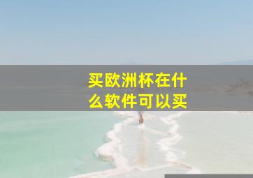 买欧洲杯在什么软件可以买