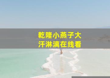 乾隆小燕子大汗淋漓在线看