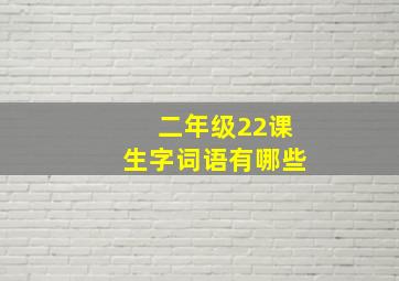 二年级22课生字词语有哪些