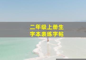 二年级上册生字本表练字帖