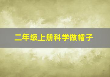 二年级上册科学做帽子