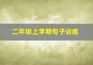 二年级上学期句子训练