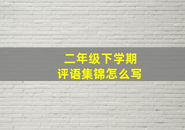 二年级下学期评语集锦怎么写