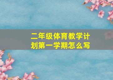 二年级体育教学计划第一学期怎么写