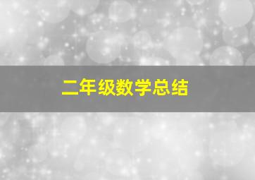 二年级数学总结