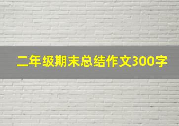 二年级期末总结作文300字