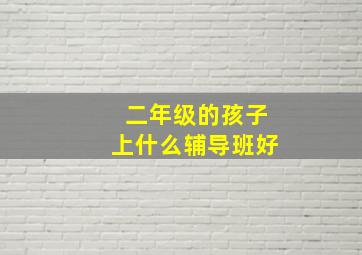 二年级的孩子上什么辅导班好