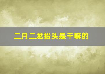 二月二龙抬头是干嘛的