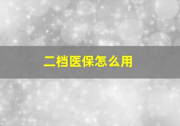 二档医保怎么用