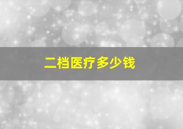 二档医疗多少钱