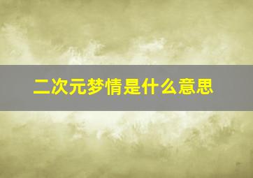 二次元梦情是什么意思