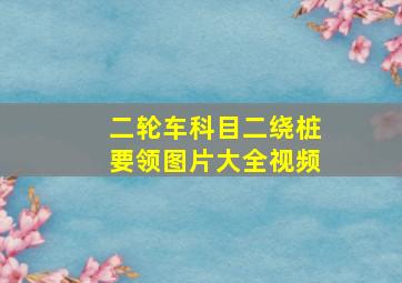 二轮车科目二绕桩要领图片大全视频