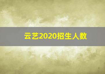 云艺2020招生人数