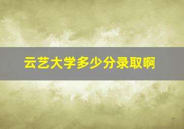 云艺大学多少分录取啊