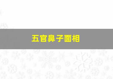 五官鼻子面相