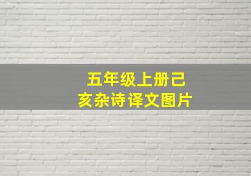 五年级上册己亥杂诗译文图片