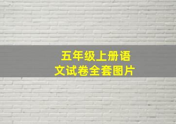 五年级上册语文试卷全套图片