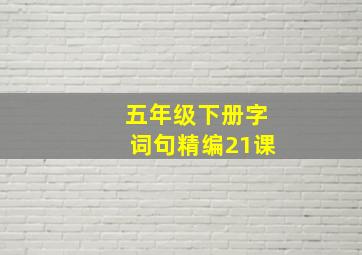 五年级下册字词句精编21课