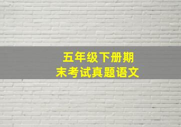 五年级下册期末考试真题语文