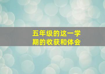 五年级的这一学期的收获和体会