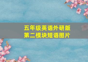 五年级英语外研版第二模块短语图片