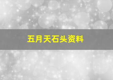 五月天石头资料