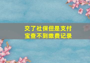 交了社保但是支付宝查不到缴费记录